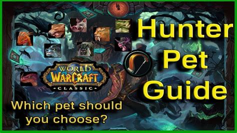 wow petopia classic|hunter wow classic pet guide.